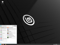 Linux Mint 22 "Wilma" Xfce auf USB-Stick