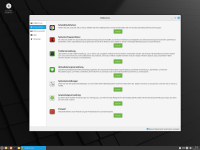Linux Mint 22 "Wilma" Xfce auf USB-Stick