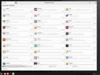 Linux Mint 22.1 "Xia" Cinnamon