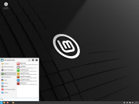 Linux Mint 22.1 "Xia" MATE